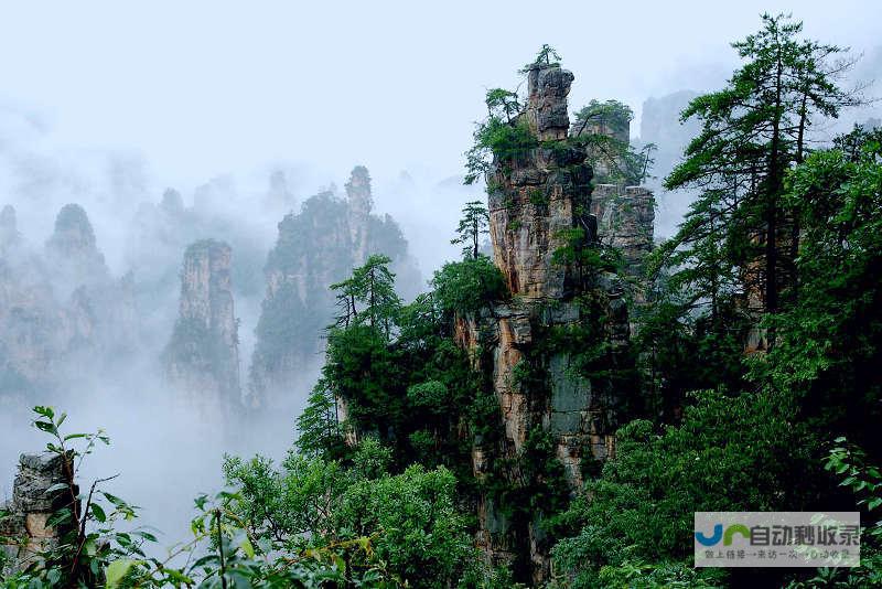 张家界网站建设：提升您的旅游品牌形象，引爆线上客流