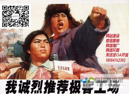 福州专业网站设计,从视觉到功能的全方位服务